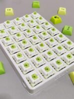 Akashi Switch - Image 2