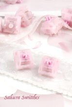 Shizuku Sakura Switch