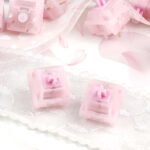 Shizuku Sakura Switch